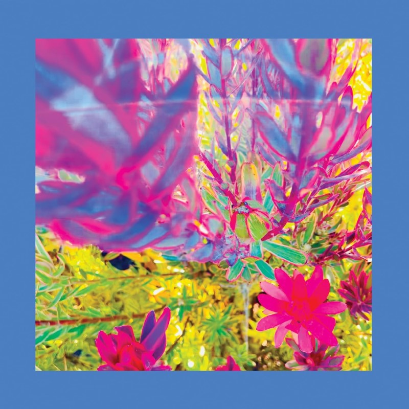 The Reds, Pinks & Purples/The Past is a Garden I Never Fed