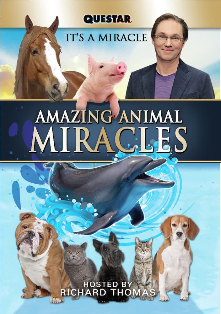Amazing Animal Miracles/Amazing Animal Miracles@MADE ON DEMAND@This Item Is Made On Demand: Could Take 2-3 Weeks For Delivery