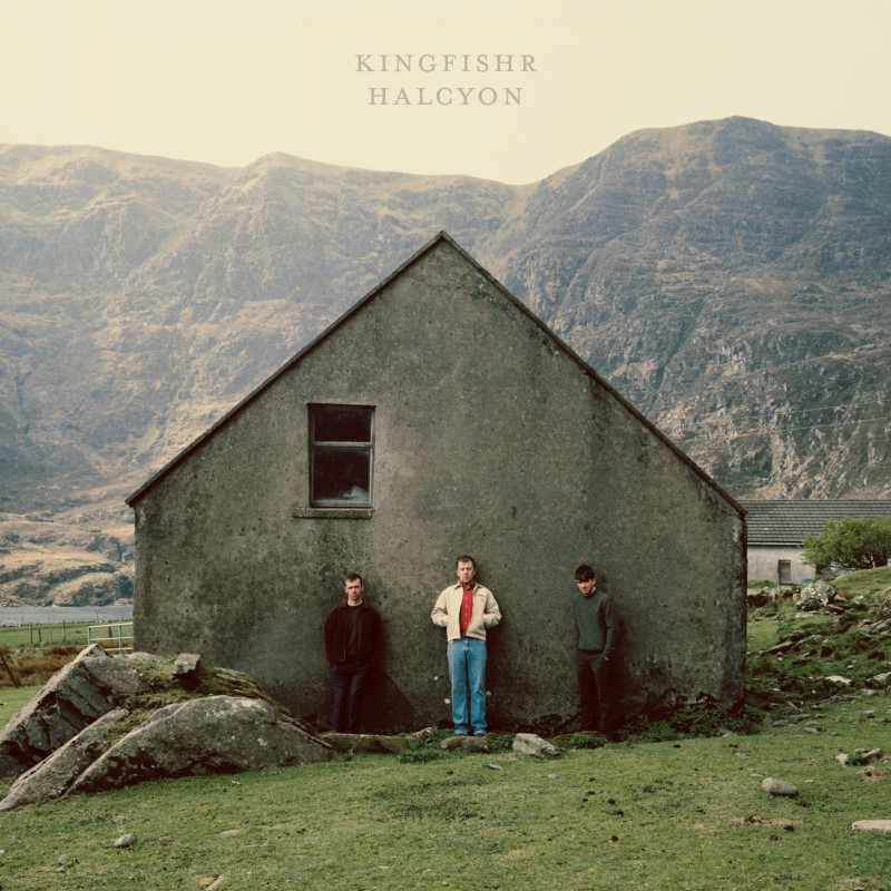 Kingfishr/Halcyon