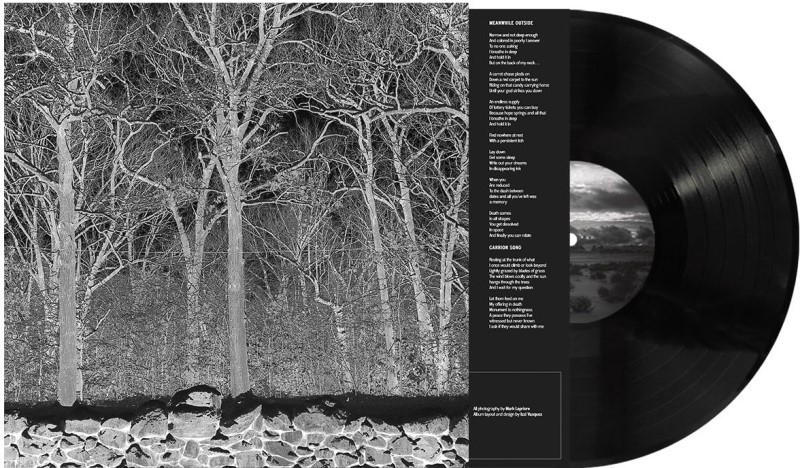 Pile/Sunshine & Balance Beams