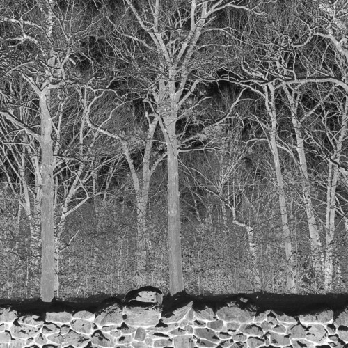 Pile/Sunshine & Balance Beams