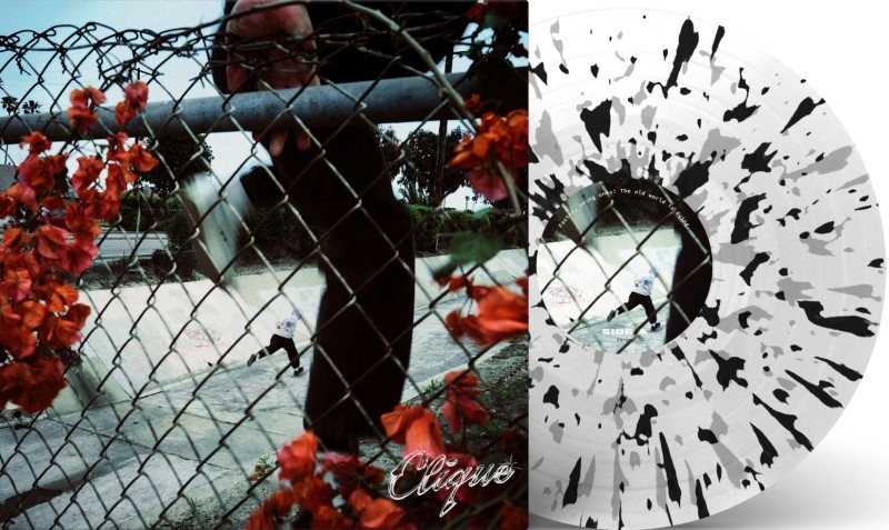 Clique/In Lives That Won'T Last