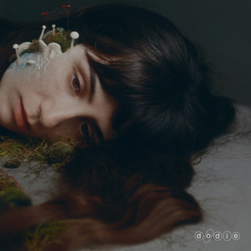 dodie/Not For Lack Of Trying