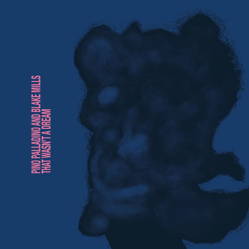 Pino Palladino/Blake Mills/That Wasn't a Dream@LP