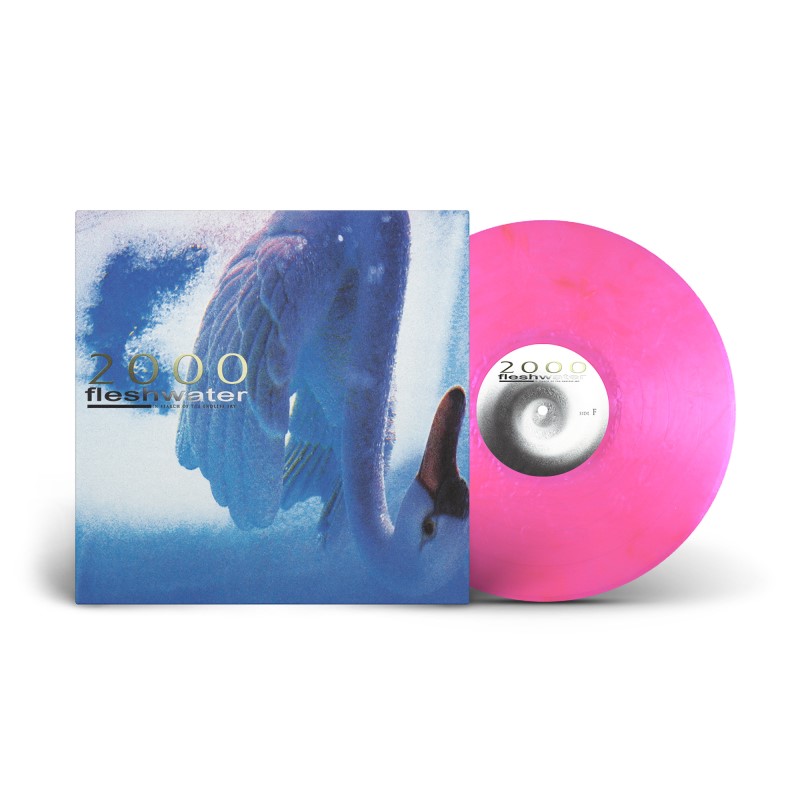 Fleshwater/2000: In Search Of The Endless