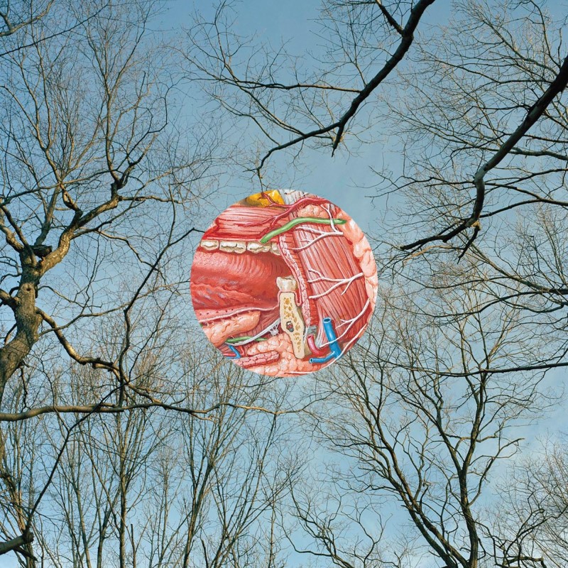 They Might Be Giants/Glean