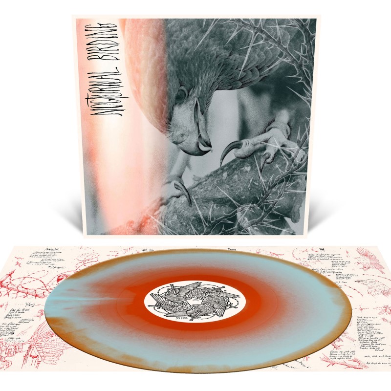Author & Punisher/Nocturnal Birding (Custom Merge Vinyl)