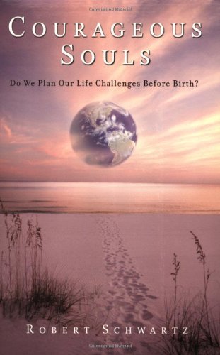 Robert Schwartz Courageous Souls Do We Plan Our Life Challenges B 