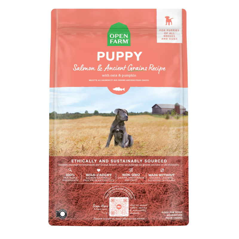 Open Farm Salmon & Ancient Grains Recipe Puppy Kibble