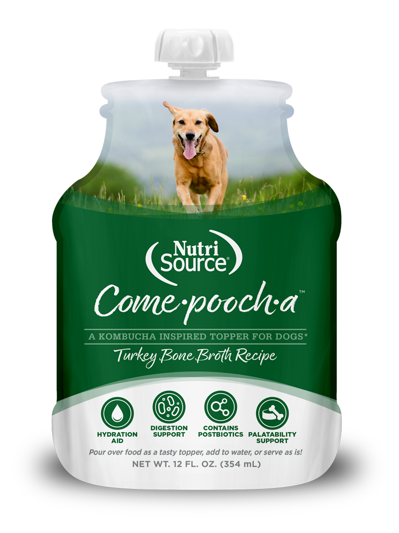 NutriSource® Come-Pooch-A Turkey Bone Broth Recipe for Dogs