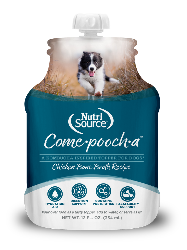 NutriSource® Come-Pooch-A Chicken Bone Broth Recipe for Dogs