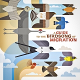 A Guide to the Birdsong of Migration/A Guide to the Birdsong of Migration@180g