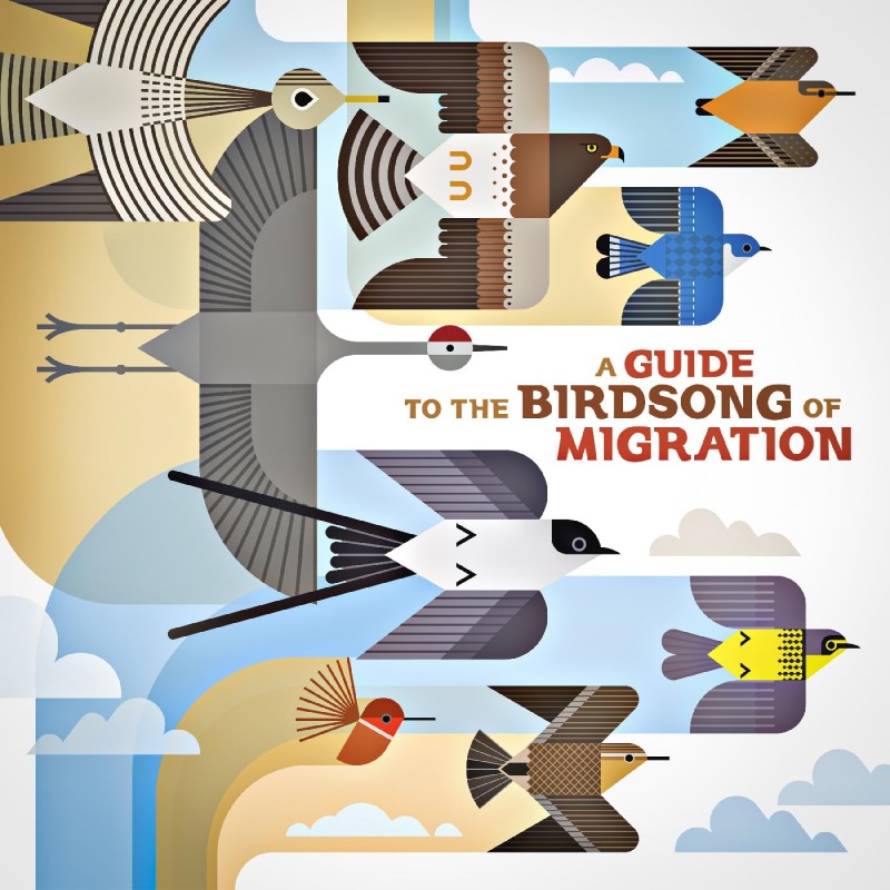 A Guide to the Birdsong of Migration/A Guide to the Birdsong of Migration@180g