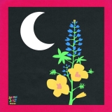 Summer Salt/Reside@Amped Exclusive