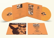 JJ Grey & Mofro/Orange Blossoms (SUNBURST SPLASH VINYL)@2LP