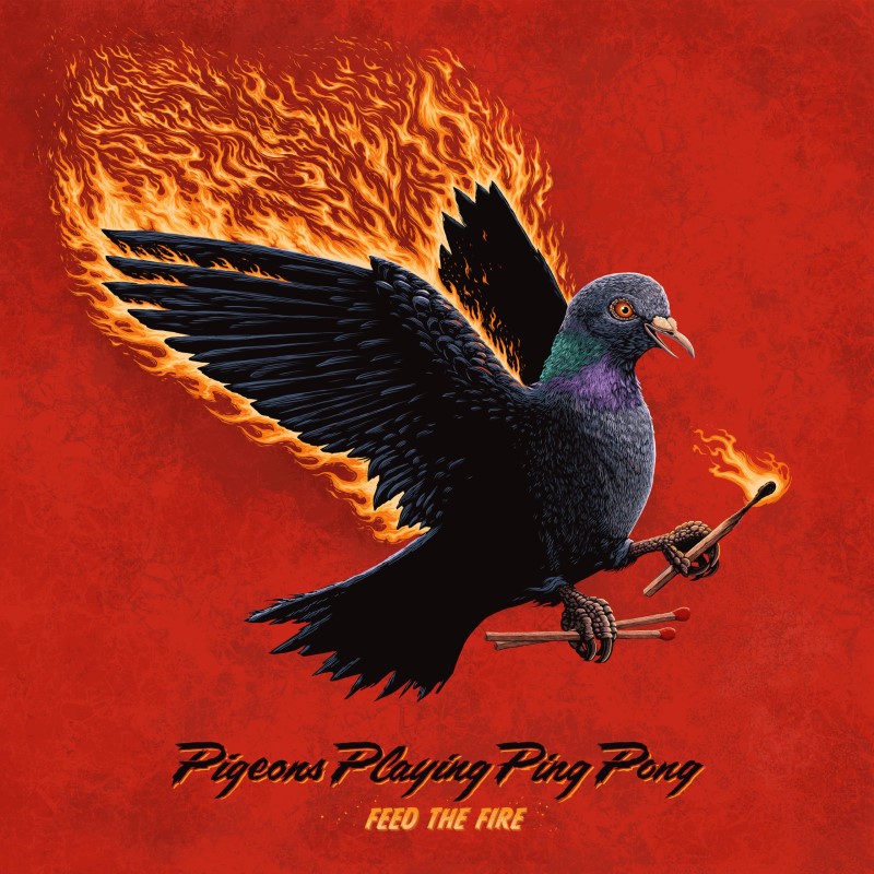 Pigeons Playing Ping Pong/Feed The Fire@Amped Exclusive