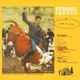 Parquet Courts/Light Up Gold