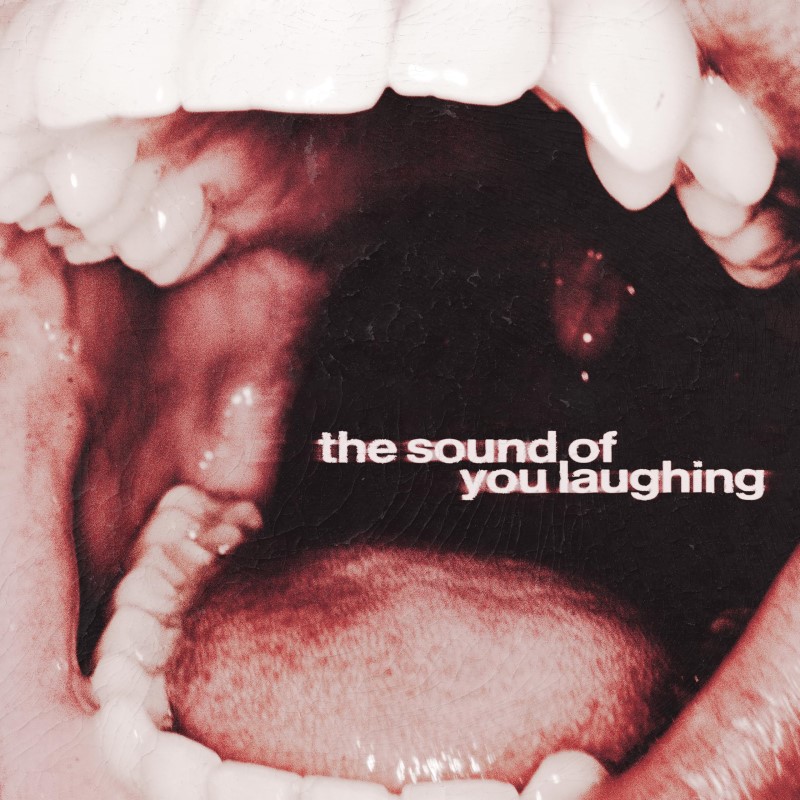 ThxSoMch/The Sound of You Laughing