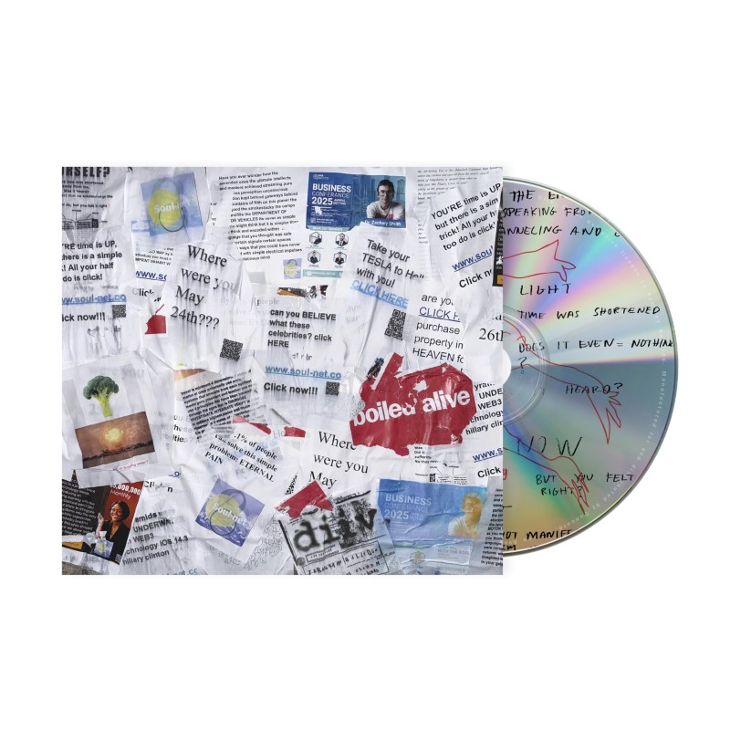 DIIV/Boiled Alive: Live at Teragram Ballroom