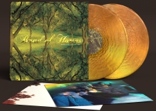 Band of Horses/Everything All the Time (20th Anniversary) (Metallic Gold Vinyl)