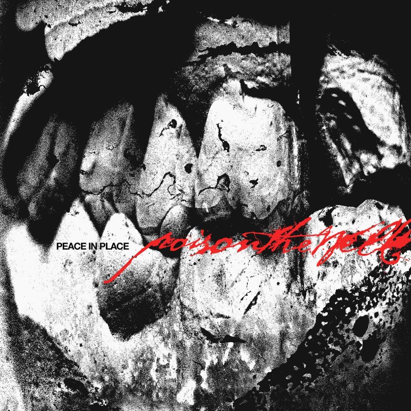 Poison The Well/Peace In Place