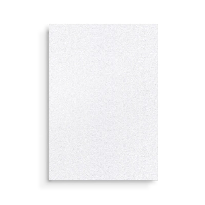 BTS/BTS The 5th Album 'ARIRANG' [Living Legend Ver.]