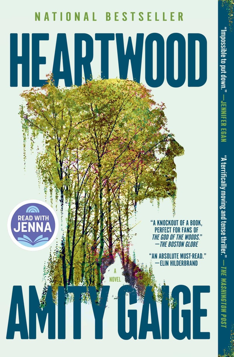 Amity Gaige/Heartwood (a Read with Jenna Pick)