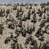 Gregory Uhlmann/Extra Stars (STAR DUST VINYL)