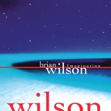 Brian Wilson/Imagination@RSD Exclusive / Ltd. 3500 USA@140g