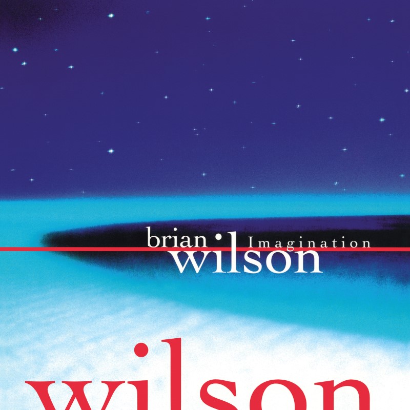 Brian Wilson/Imagination@RSD Exclusive / Ltd. 3500 USA@140g
