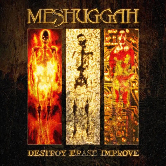 Meshuggah/Destroy Erase Improve@RSD Exclusive / Ltd. 1600 USA@2LP w/ Etched D-Side