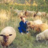 Resavoir/Themes for Dreams