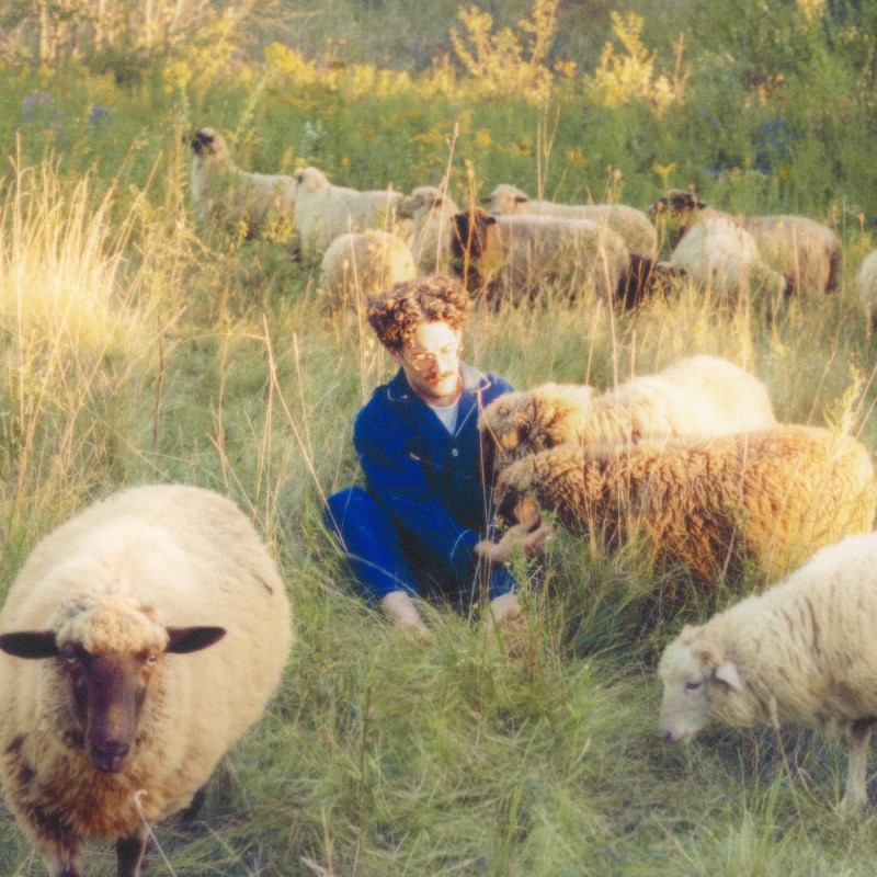 Resavoir/Themes for Dreams