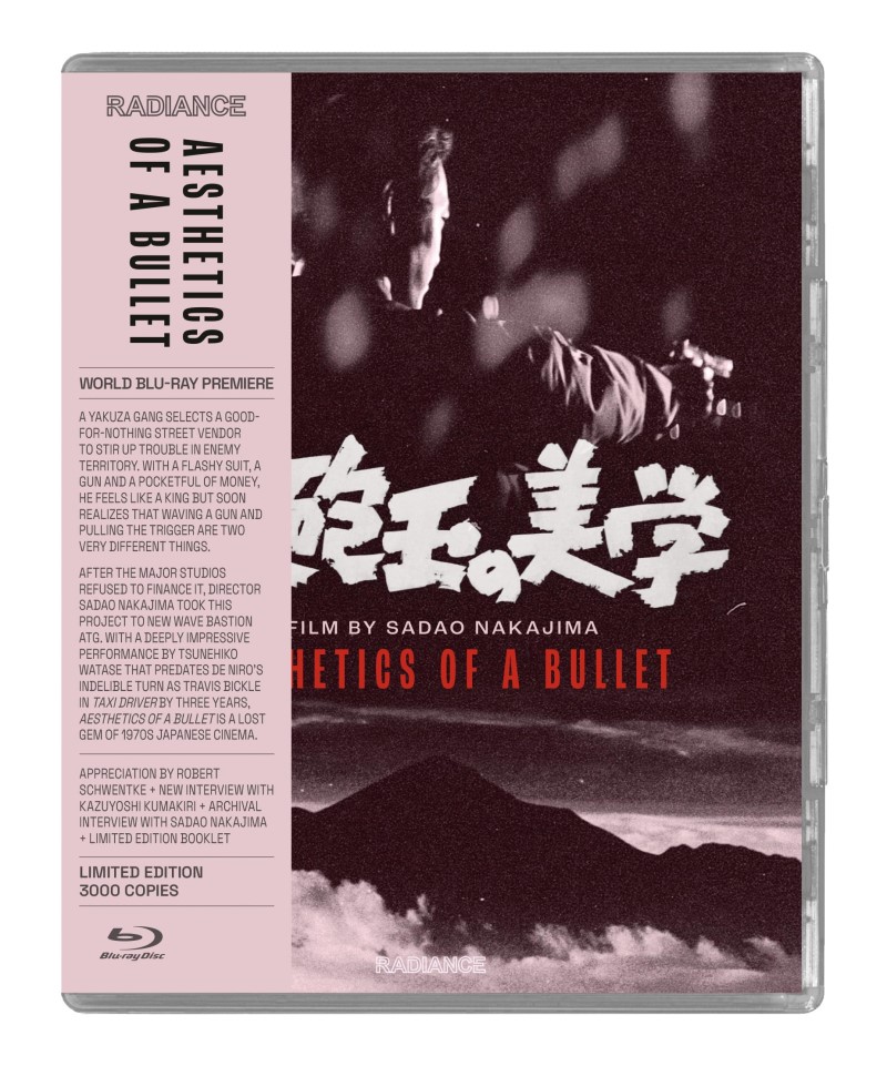 Aesthetics Of A Bullet/Aesthetics Of A Bullet