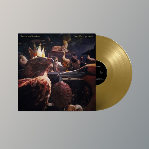 Trashcan Sinatras/Ever The Optimist@Amped Exclusive
