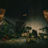 The Plot In You/The Plot In You (Hardwood Vinyl)@Indie Exclusive
