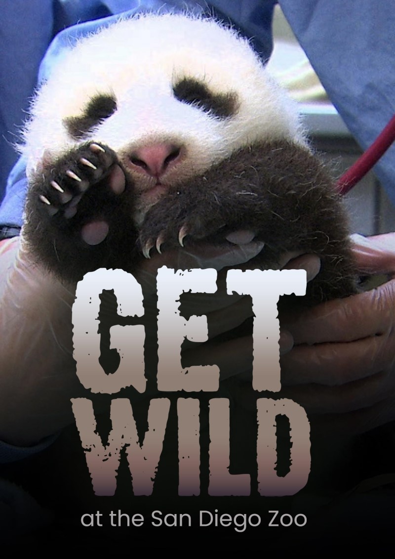 Get Wild/Get Wild