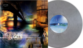 After/Fell Asleep in the Sun (METALLIC SILVER VINYL)
