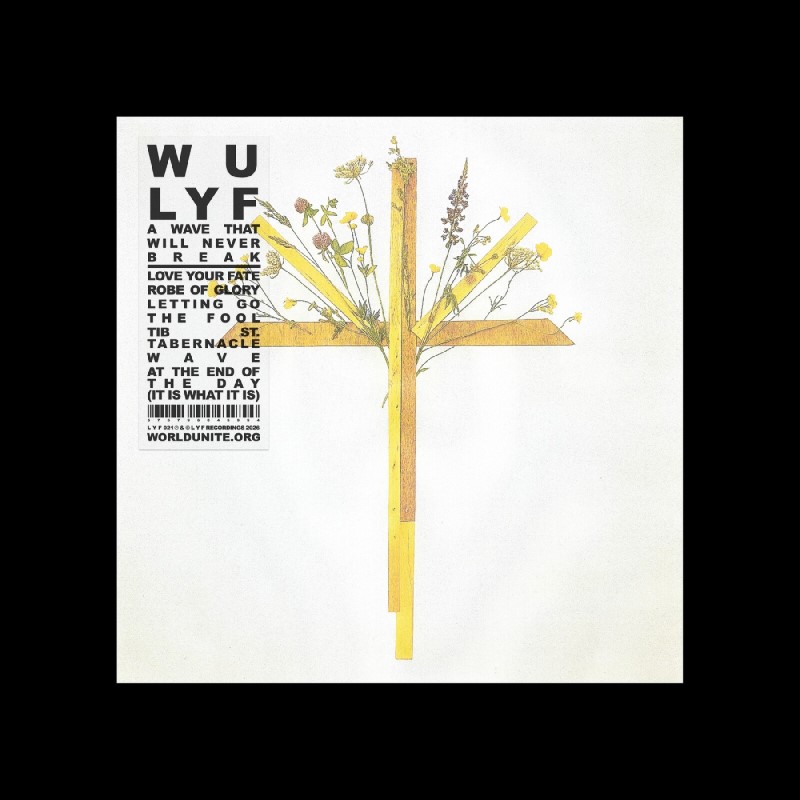 Wu Lyf/A Wave That Will Never Break