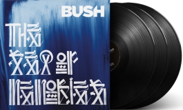 Bush/Sea Of Memories