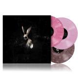 Ghostkid/Follow The White Rabbit