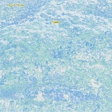 Emily A. Sprague/Cyano (Sky Blue Vinyl)@Indie Exclusive