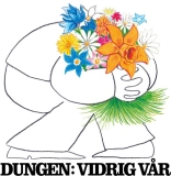 Dungen/Vidrig Var@Amped Exclusive
