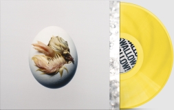 Shygirl/SWALLOW! (Transparent Yellow Vinyl)@Indie Exclusive