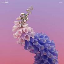 Flume/Skin