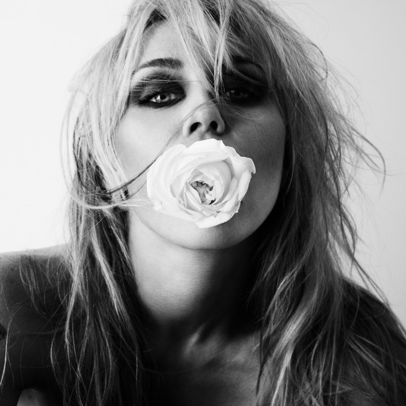 Miley/Bass Persuades