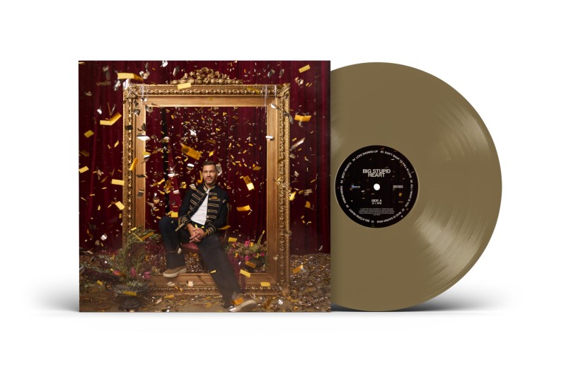 Andy Grammer/Big Stupid Heart (Gold Vinyl)