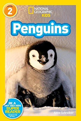 Anne Schreiber/Penguins!