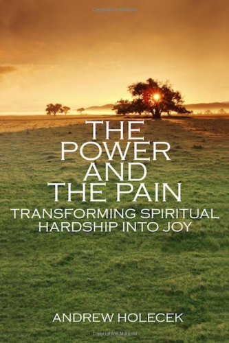 Andrew Holecek The Power And The Pain Transforming Spiritual Hardship Into Joy 
