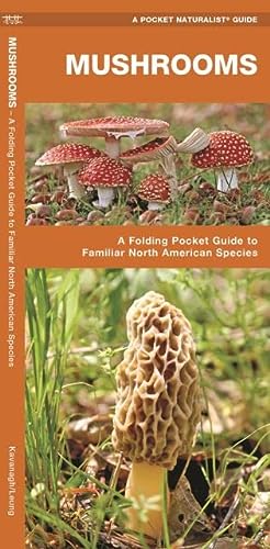 James Kavanagh/Mushrooms@An Introduction to Familiar North American Species
